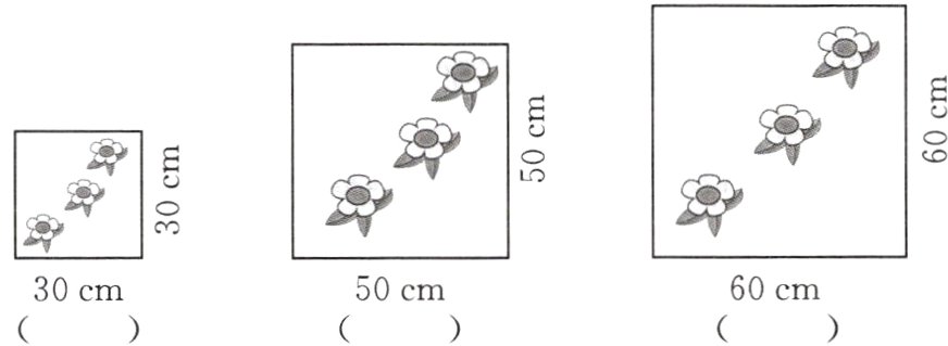 60cm50cm30cm