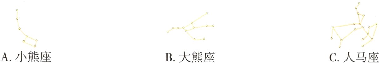 A小熊座B大熊座C人马座