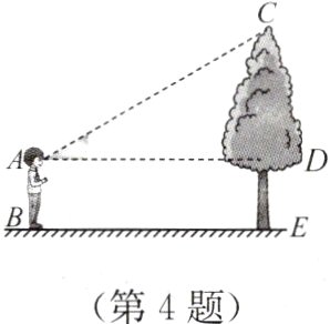 第4题