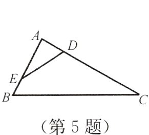 第5题