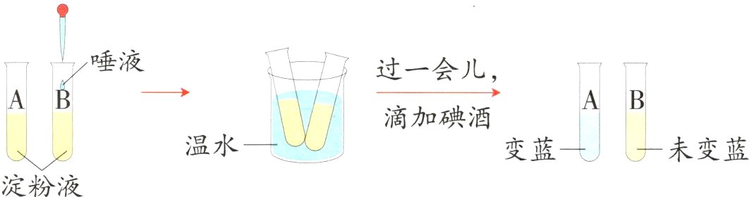 变蓝未变蓝淀粉液