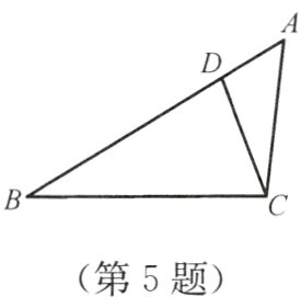 第5题