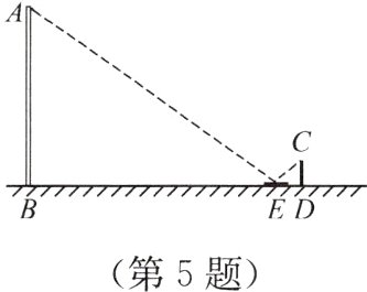 第5题