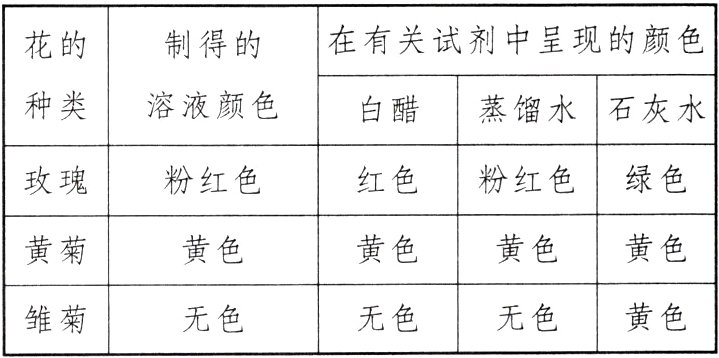 无色黄色无色无色雏菊