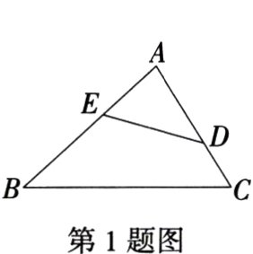 第1题图