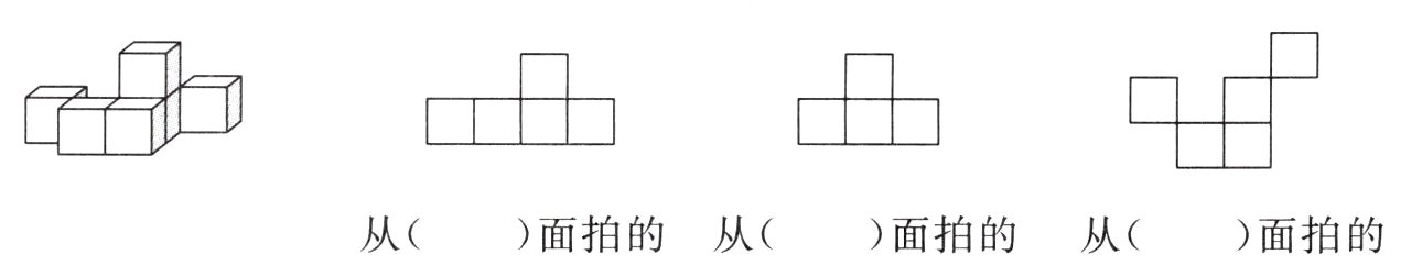 从面拍的从面拍的从面拍的