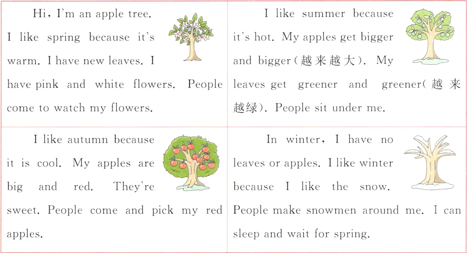 apples