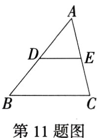 第11题图