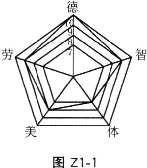 图Z1-1