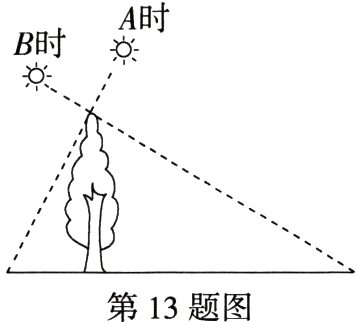 第13题图