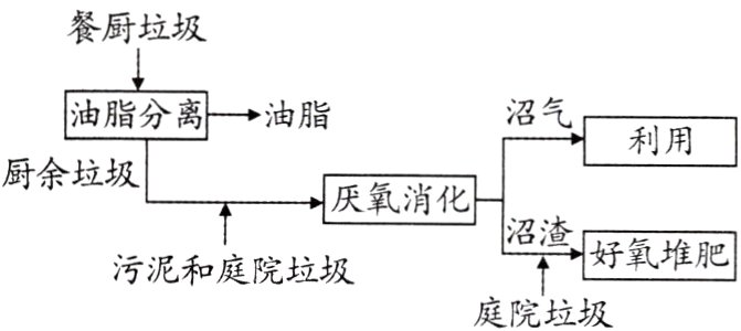 污泥和庭院垃圾庭院垃圾