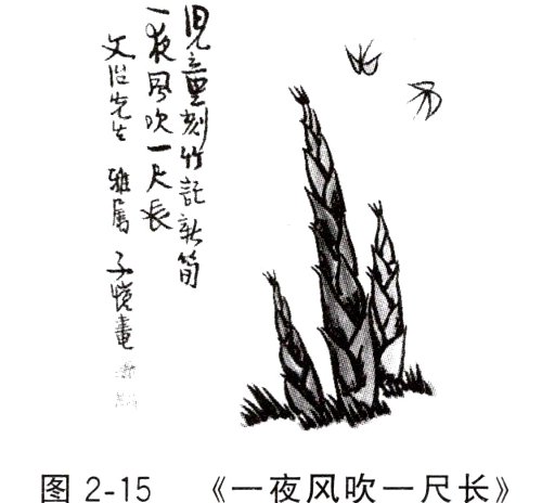 图215一夜风吹一尺长