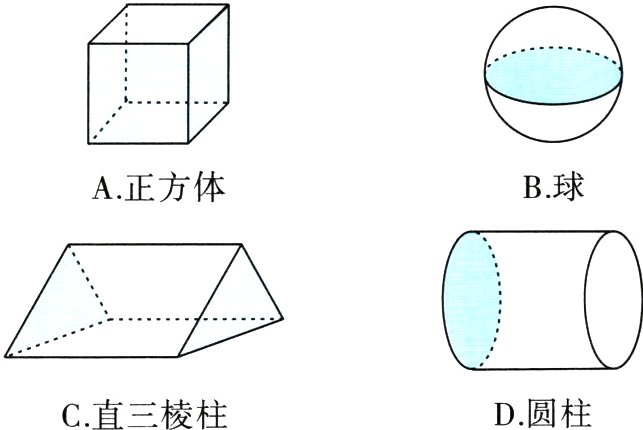 D圆柱C直三棱柱