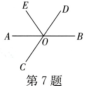 第7题