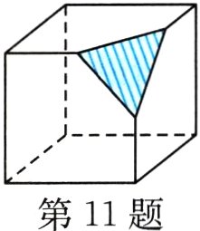 第11题