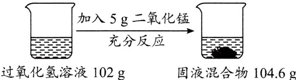 过氧化氢溶液102g固液混合物1046g