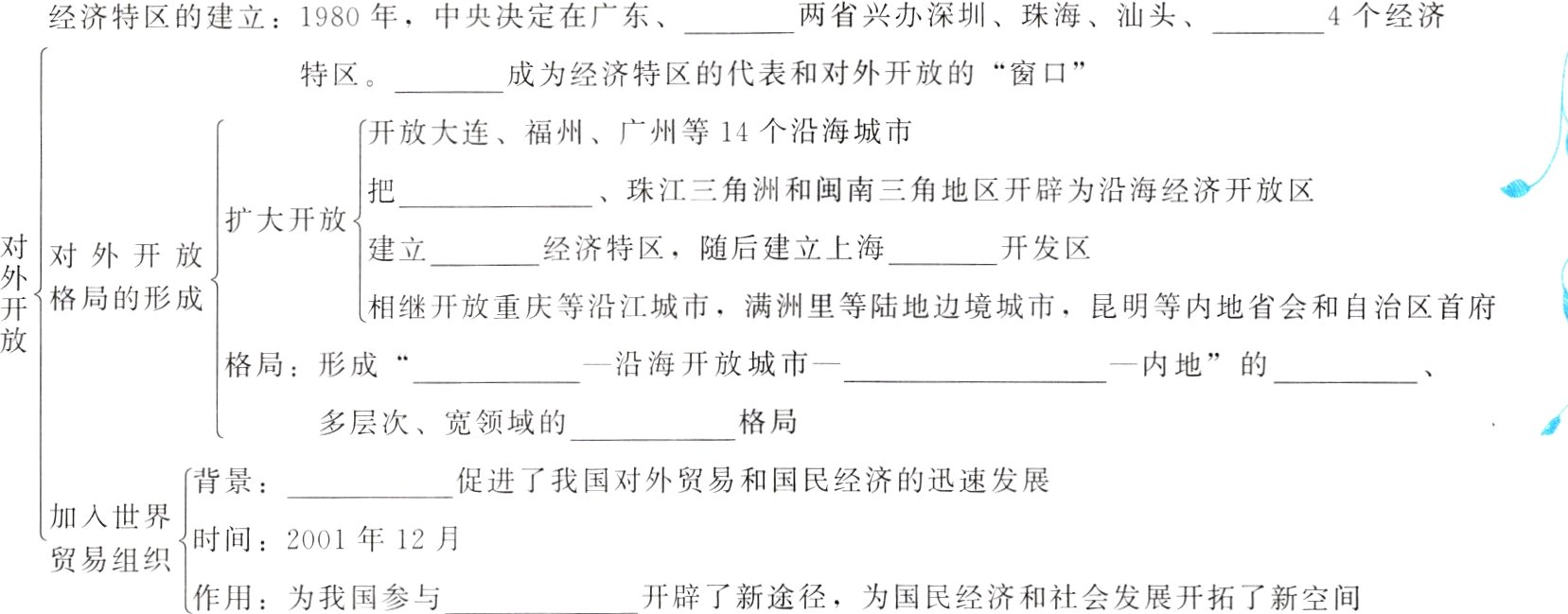 贸易组织作用为我国参与开辟了新途径为国民经济和社会发展开拓了新空间
