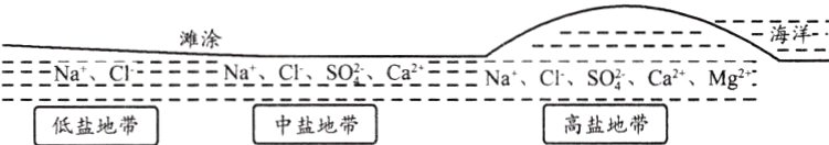 高盐地带中盐地带低盐地带