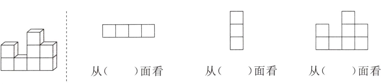 面看从从面看面看从