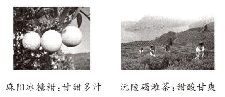 麻阳冰糖柑甘甜多汁沅陵碣滩茶甜酸甘爽