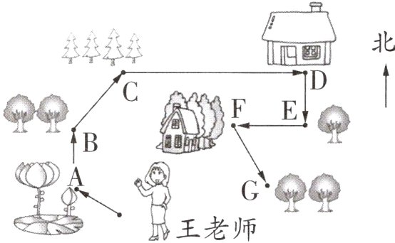 品王老师