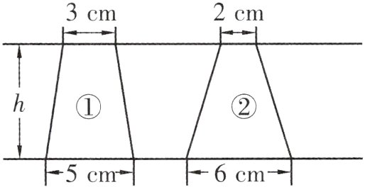 5c6cm