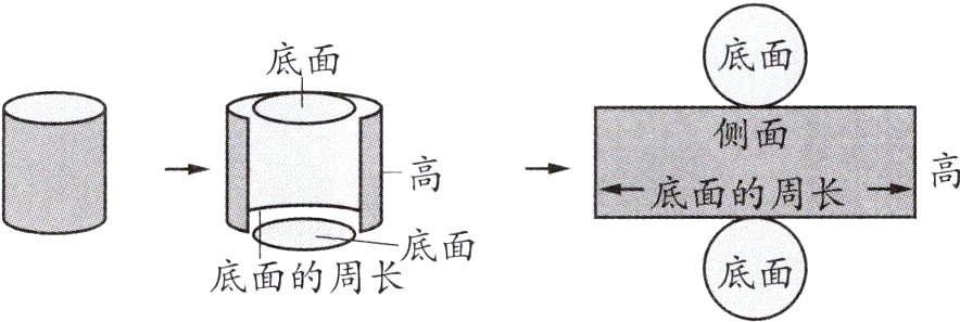 底面底面的周长