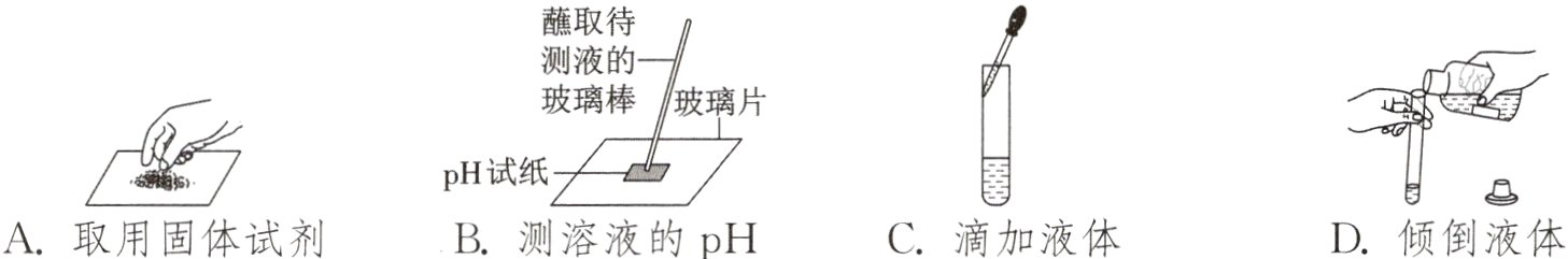 C滴加液体D倾倒液体A取用固体试剂B测溶液的pH