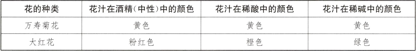 大红花粉红色橙色绿色