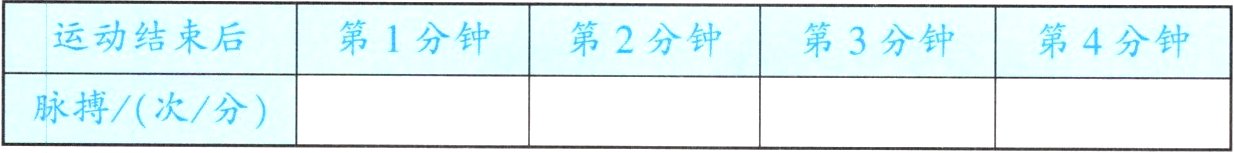 脉搏Z次Z分