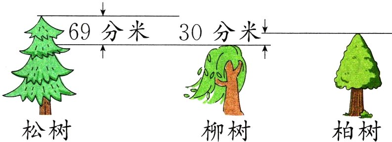松树柏树柳树