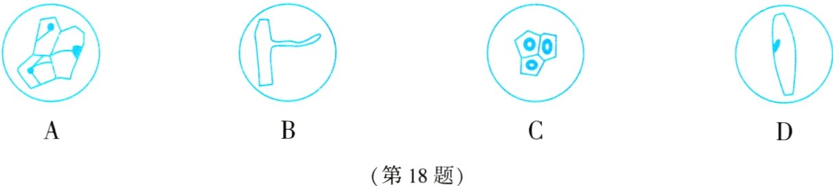 第18题