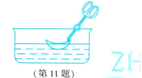 第11题