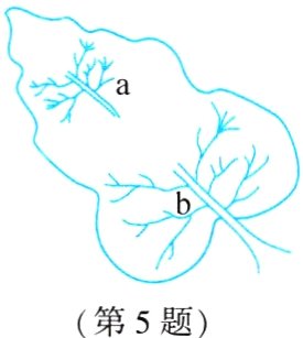 第5题