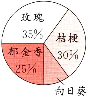 向日葵