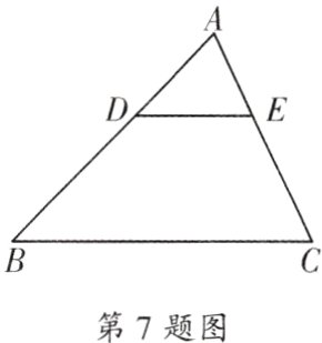 第7题图