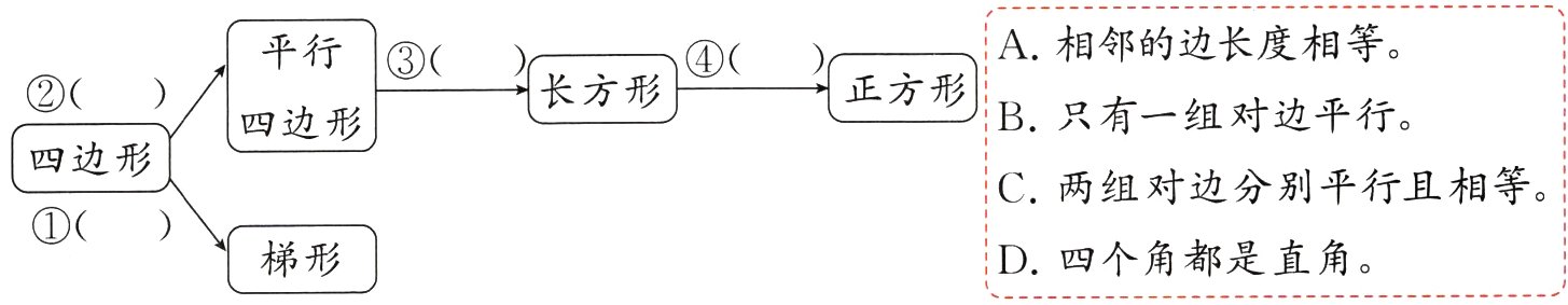 D四个角都是直角梯形