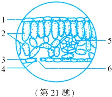 第21题