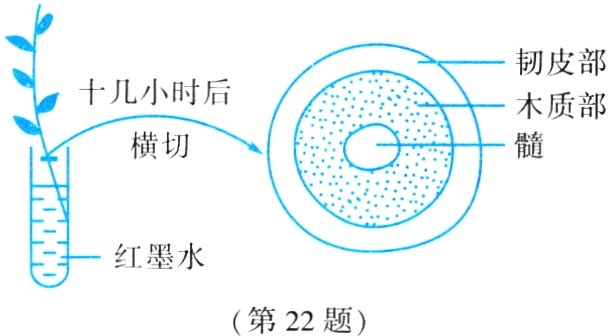 第22题