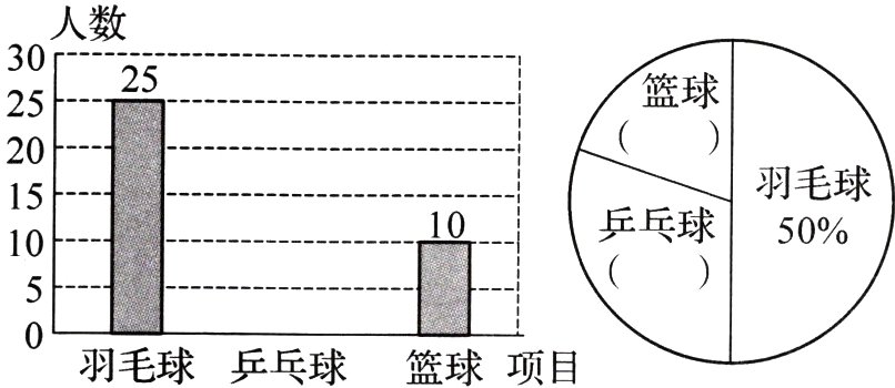 羽毛球乒乓球篮球项目