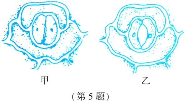 第5题