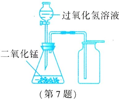 一话第7题