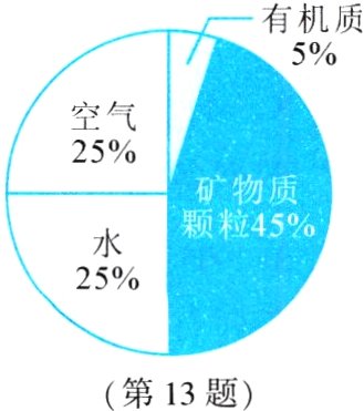第13题