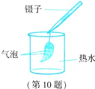 第10题