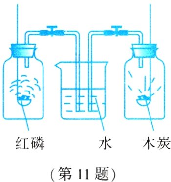 第11题