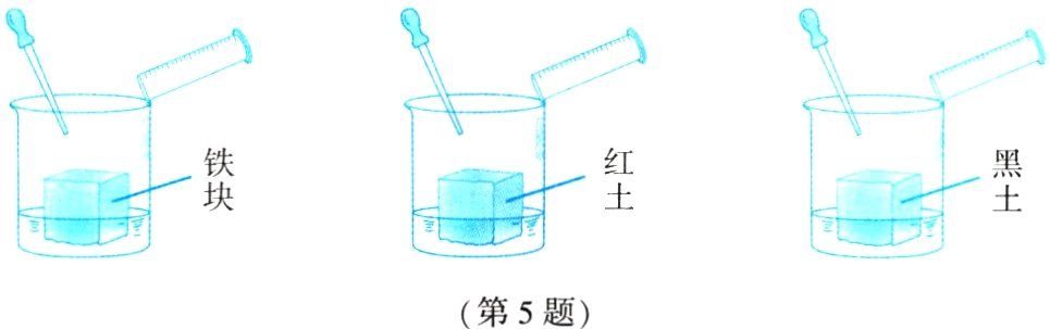 第5题