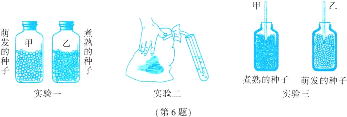 第6题