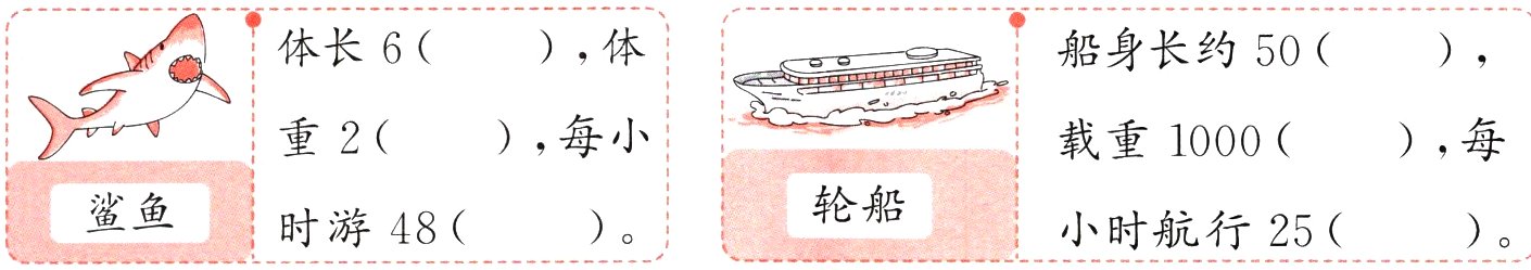 轮船鲨鱼时游48小时航行25