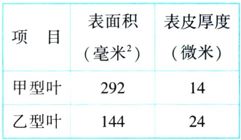 乙型叶14424