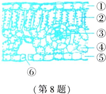 第8题